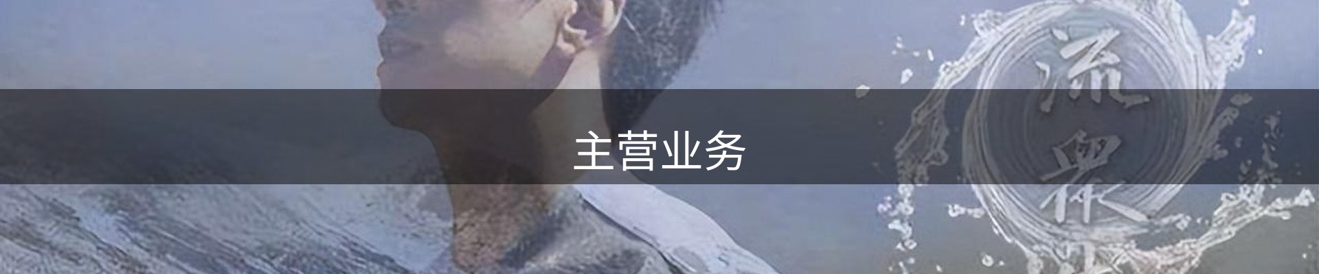 主营业务