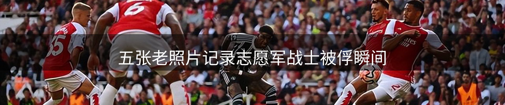 网站资讯