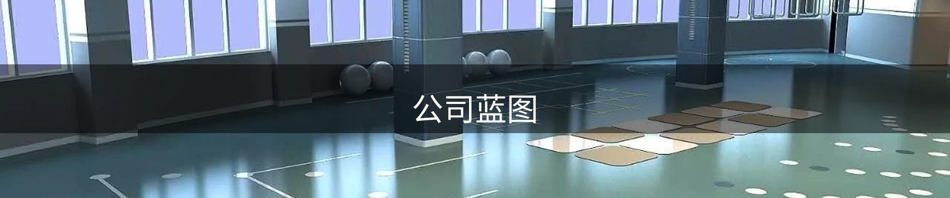 公司蓝图