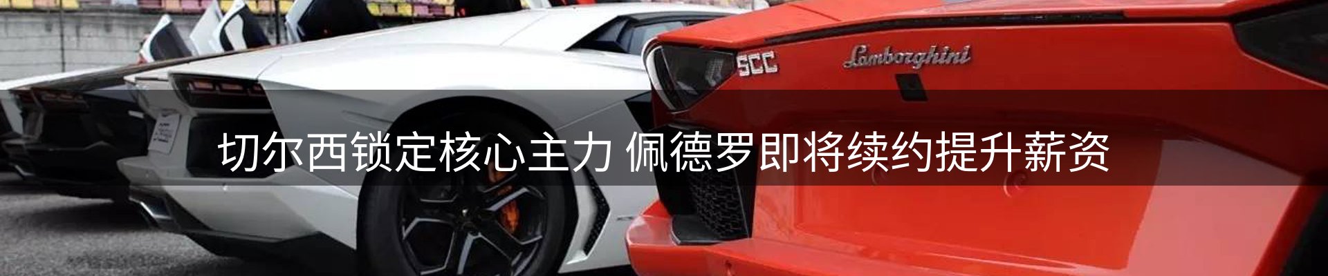 网站资讯