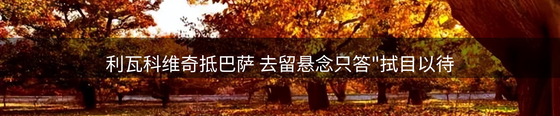 网站资讯