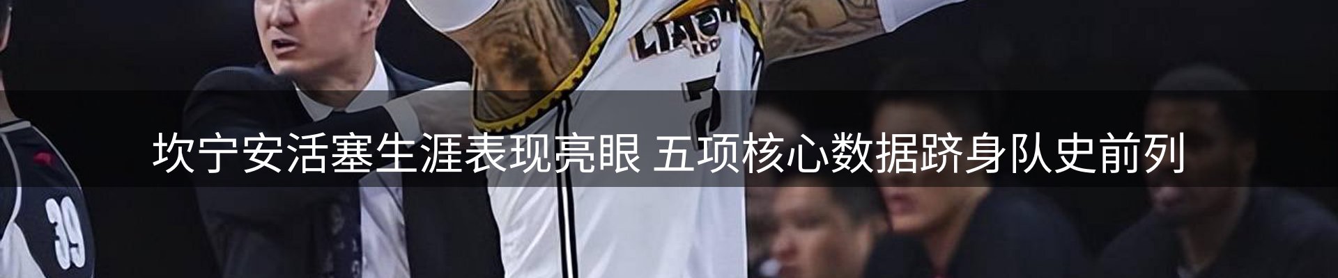 网站资讯