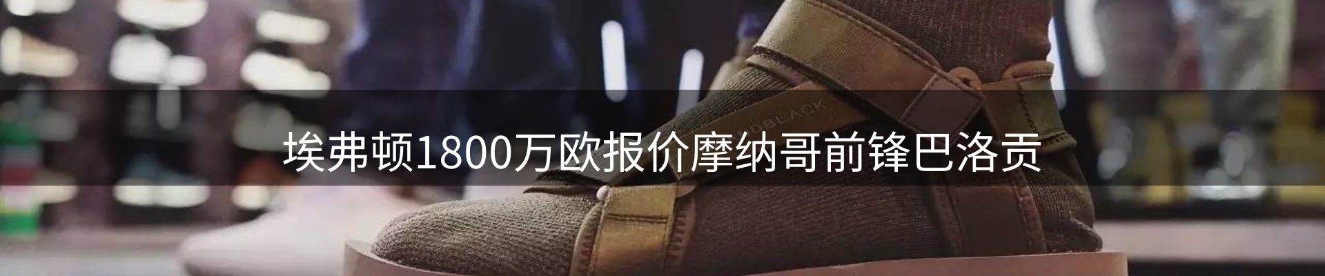 公司视点