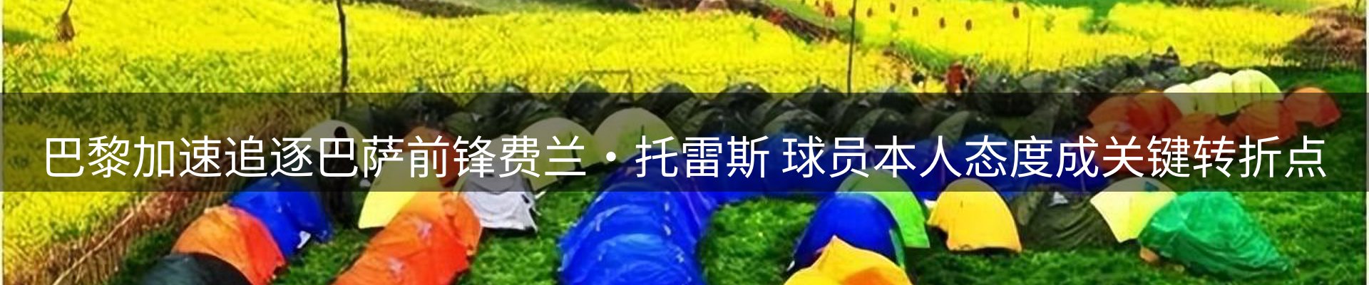 网站资讯