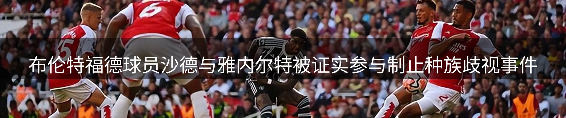 网站资讯