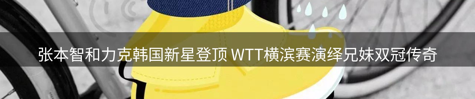 网站资讯