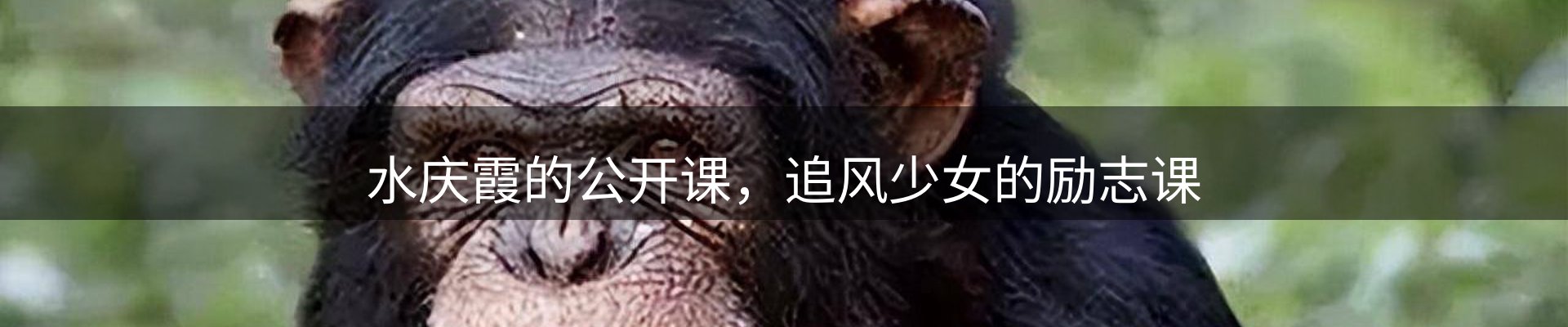 网站资讯