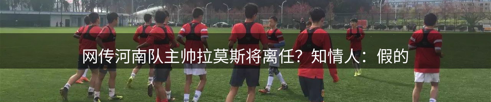 公司视点