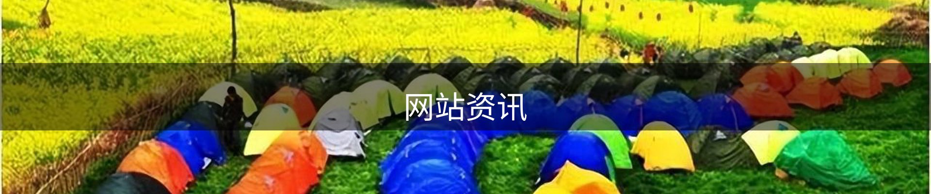 网站资讯