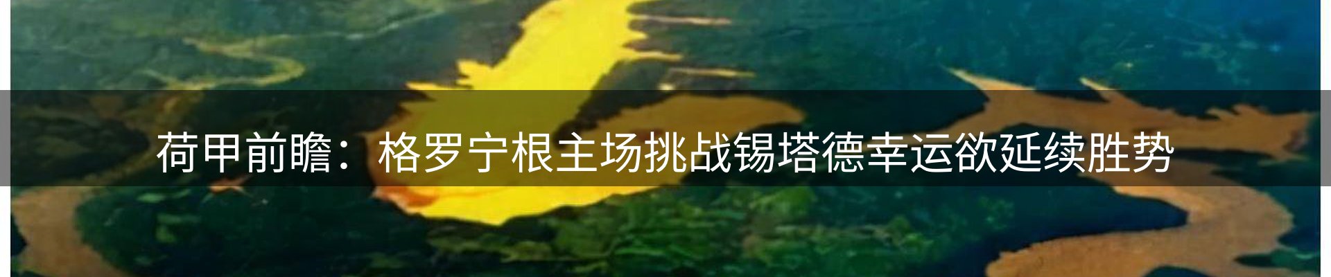 公司视点