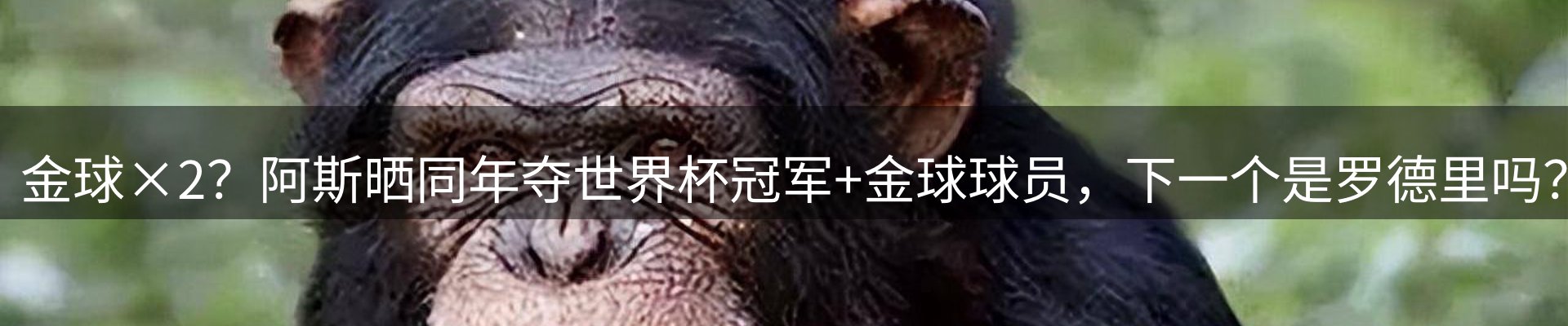 公司视点