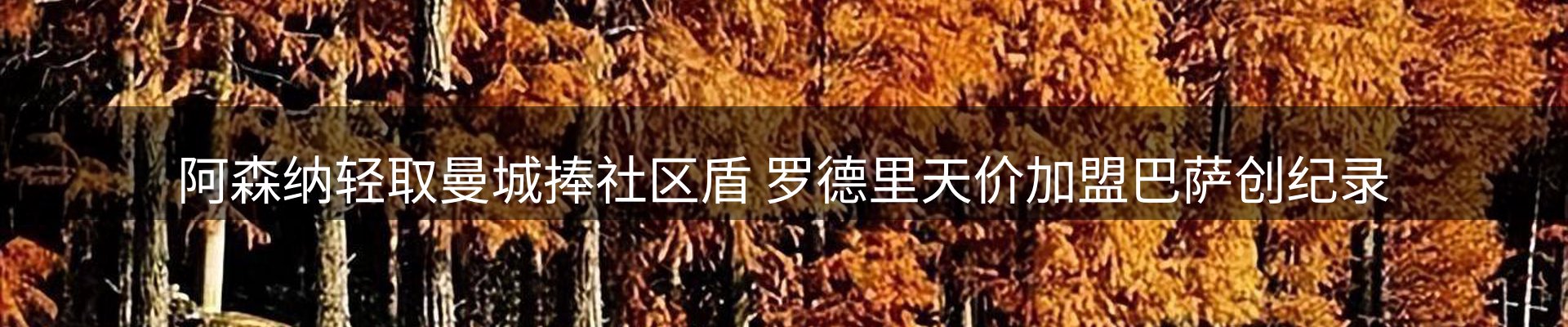网站资讯